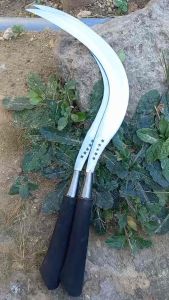 Sabit Ranting Bambu Baja & Sabuk Tali Asli Madura