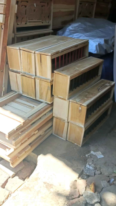 wadah pakan merpati koloni