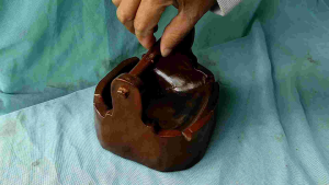 Asbak Kayu Jati Model Bebek Angsa 27 X 13 X Tinggi 11 Cm