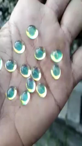 Batu Akik Kalimaya India 10x8 mm