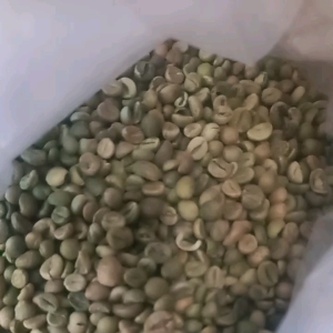 Biji Kopi Mentah Robusta Green Bean Asalan 500 Gram