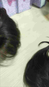 1แถม1 จัดโปรวิกปิดผมบางคุณภาพพรีเมียม ช่วยปิดรอยแสกกลางเห็นชัด ปิดโคชนผมหงอกได้แนบเนียน เสริมผมให้ดูหนาและมีวอลลุ่ม