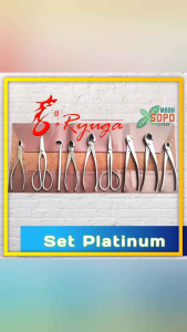 Alat Bonsai Stenlis Ryuga Set Platinum