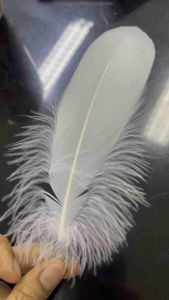 Bulu Angsa Putih Premium 16-17cm Kerajinan Tangan Dekorasi