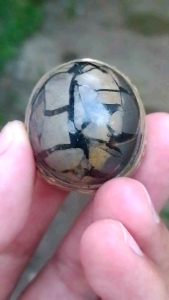 CINCIN BATU AKIK SISIK NAGA ENREKANG CEPLOK JUMBO LAWASAN NATURAL