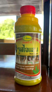 รูทไจแอน เร่งราก สารอะมิโนคอมเพล็กซ์ กระตุ้นการเกิดราก ขนาด1ลิตร #ออสก้าร์ #รูทไจแอน