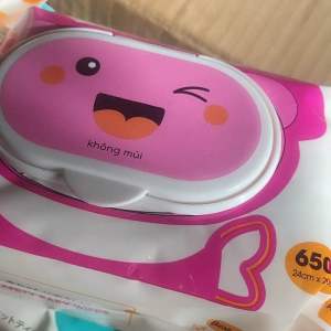 Sỉ combo 20 gói khăn ướt baby wipes 650g không mùi an toàn cho bé (hsd:2027)