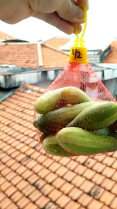 Baby Timun Lalapan Mentimun Muda 500 gram