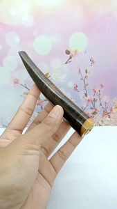 klokotan once pipa kayu kalimosodo model bulat super M52