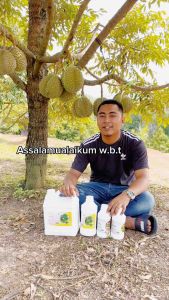 Baja Foliar LCP set Baja lebat buah - Lazada