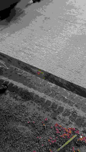 Sepetir Timber Wood Slab Table Top 4ft/5ft width X 8ft long