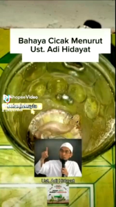PAKET HEMAT 3PCS OBAT PEMBASMI CICAK RACAKU
