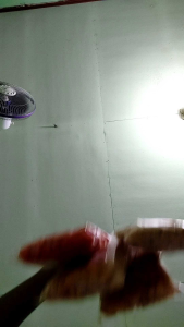 Makaroni paketan isi 10 pcs 60 gram