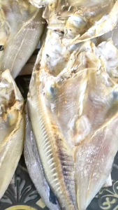 Ikan asin Jambal Roti no 2