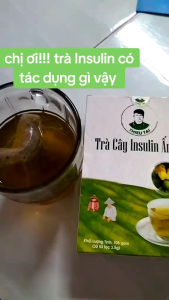 Trà Cây INSULIN ẤN Độ