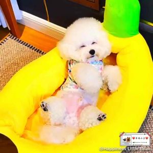 Banana Bed Pet House Pet Bed Warm Sleeping Nest Bag For Small Dog Cat Puppy 狗狗香蕉窝宠物窝卡通窝垫中小型犬可拆洗狗垫子猫狗秋冬柯基狗窝 Large Warm Comfy Pet Bed Washable Pet House Tempat Tidur Kucing