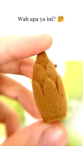 Dupa Pelor Qodha Asap Bawah 1Pak Isi 40pcs Aroma All Varian - Buhur Kerucut Pengharum Ruangan Aromaterapi