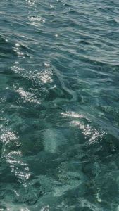 NACO.Darcie Top Tube Backless Top Summer outfit Girl