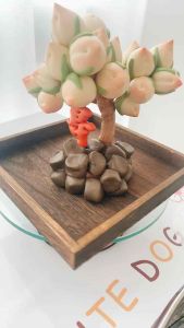 Longevity peach tree