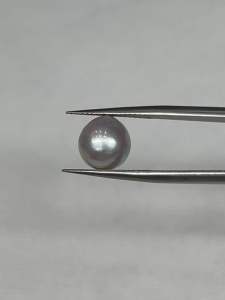 530NT- NGỌC TRAI AKOYA NƯỚC MẶN NUÔI CẤY KHÔNG XỬ LÝ CÓ KHOAN MỘT LỖ ( thông số trong ảnh chụp) 5.3 Carat