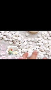 100G MEN NGỌT CƠM RƯ.Ợ.U DẠNG MỊN MẬT STORE