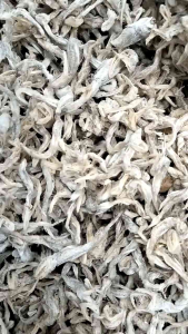Ikan Asin Siting/Lumi Halus Bagansiapiapi Kualitas Super