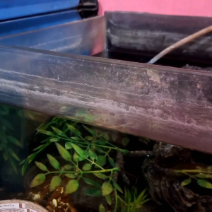 AquaSweep cairan pembersih serbaguna teruji ampuh untuk membersihkan kaca dapur kamar mandi dll