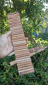 Jembatan Hamster Kayu Fleksibel: Ukuran, Fungsi & Penggunaan