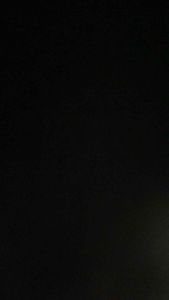 PAMM [ADVANCED AROID MIX] Forest Mix 5L OR Trio Pack - Advanced Potting Mix for Aroids and Houseplants | Well Draining and Airy Soil Mix