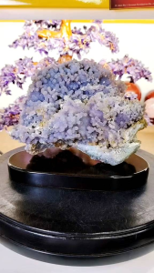 Natural Indonesia Collection Grape Agate Crystal Ornament GG01