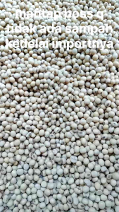 Kacang Kedelai Impor Grade No.1 5 Kg - Berat Bersih 5000 Gram - Kemasan Kantong Putih - Berasal dari Impor - Cocok untuk Berbagai Penggunaan