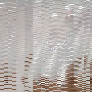 [50 PCS] Gelas plastik bening 12Oz 14Oz 16Oz  / plastik cup pp bening polos jus pop ice buah