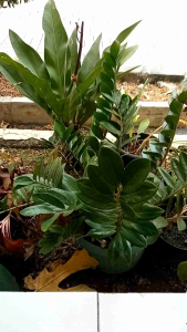 Jasvil Beauty Skincare Paket All Skin Type buat Jerawat