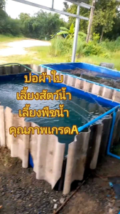 บ่อผ้าใบกระชังบกขนาด 1 * 1.5 * 0.5 พร้อมโครง