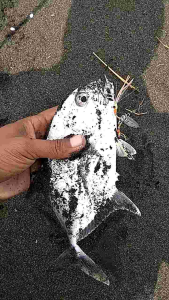 Assist Hook GID Ideal Micro Jig 15-25 gram