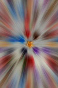 Jeday Rambut - Jepitan Rambut 1 Lusin (12 pcs) Model Bunga Kamboja Motif Glossy [ Produk Import ]