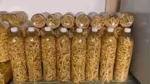 Rượu Sâu chít Nổi tiếng điện biên (Kích thích sinh sản lượng tinh trùng tráng dương khí chữa suy nhược thần kinh đau lưng do thận hư liệt dương mỏi gốitrẻ em bị còi xương hiếm muộntinh trùng loãng)- đặc sản tây bắc 333