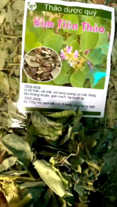 1kg Kim Tiền Thảo Khô Xanh Sạch Loại 1 - Thơm Ngon Đánh Bay Sỏi Thận Hiệu Quả
