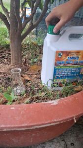 Phân Bón AMINO ĐẠM CÁ - ĐẠM CÁ HỮU CƠ CAn 5 Lít