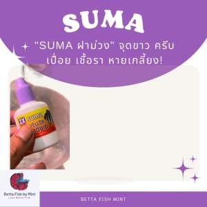 SUMA ฝาม่วง กำจัดเชื้อรา รักษาตัวเปื่อย หางเป็นขุย