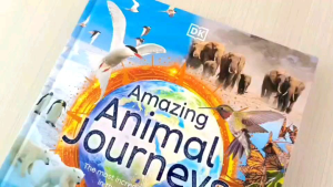 DK Amazing Animal Journeys
