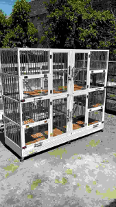 KANDANG KUCING 4 KAMAR JUMBO LENGKAP LAMPU