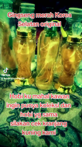 Gingseng Merah Korea Selatan Original Jumbo
