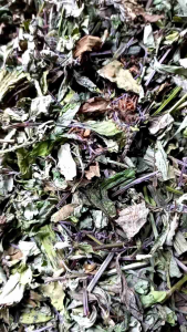 Daun kumis kucing kering kemasan 250 gram