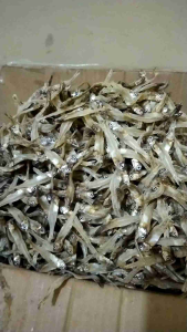 TERI TAWAR ASLI TAWAR 1KG