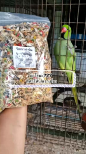 ธัญพืชรวมและผลไม้อัดเม็ด อาหารนก อาหารนก แบ่งขายจร้า ถุงละ1000กรัม