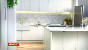 [354g] PRIME 100 SPD Kangaroo & Pumpkin | SPD Chicken & Brown Rice | SPD Salmon & Pumpkin | NPD+ Crocodile & Algae Oil | Dog Wet Food | For Dogs