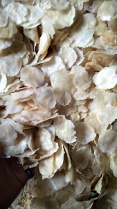 1KG EMPING MELINJO MENTAH SUPER SIAP UNTUK DI GORENG