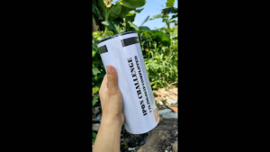 IPON Saving CHALLENGE Alkansya (9inch)