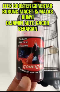 GONEKTAR BOOSTER penggacor kolibri konin sogon pleci dan burung pemakan buah buahan doping dextro 87 nextro rn7gold Ryo nutrobird gledek nektar rujak nectar sitokcer murai batu Kacer konslet super gacor kenari trucukan super n perkutut d2k nagata juara jp